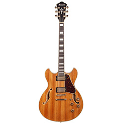 Ibanez Artcore Expressionist Natural