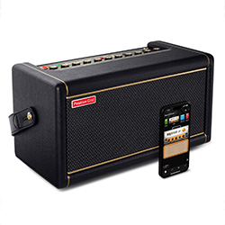 Positive Grid Spark 2