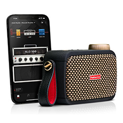 Positive Grid Spark Go